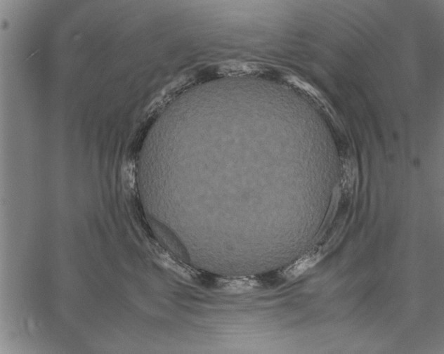 X0000066940621200604211751