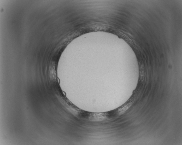 X0000066940622200604211751