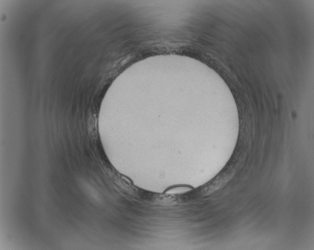 X0000066940624200604211751