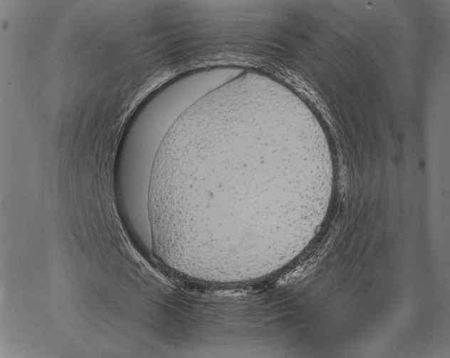 X0000066940625200604211750