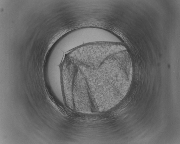 X0000066940626200604211750