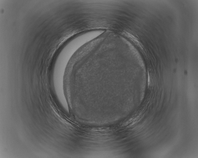 X0000066940627200604211751