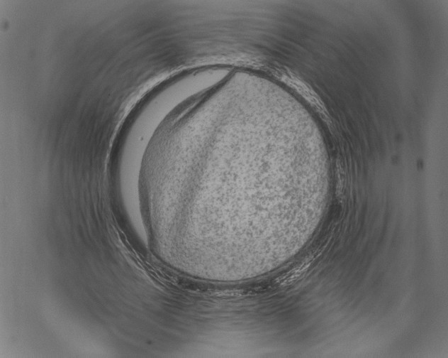 X0000066940628200604211751