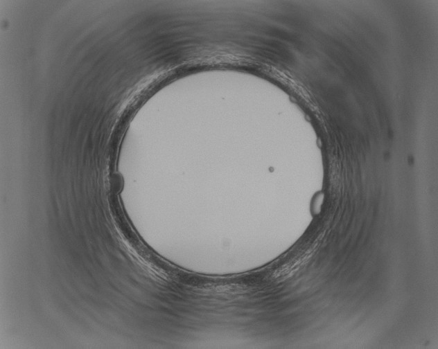 X0000066940629200604211751