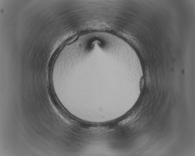 X0000066940630200604211751