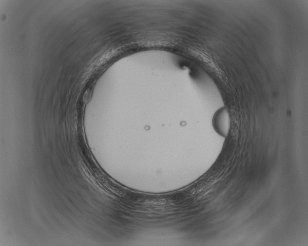 X0000066940631200604211751