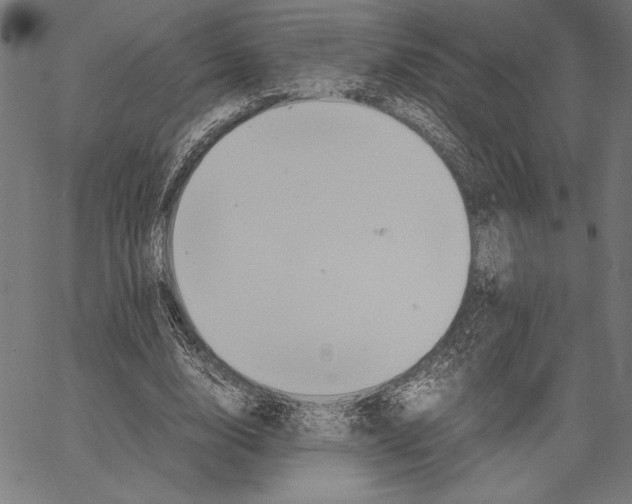 X0000066940632200604211751