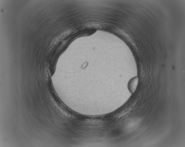 X0000066940633200604211751