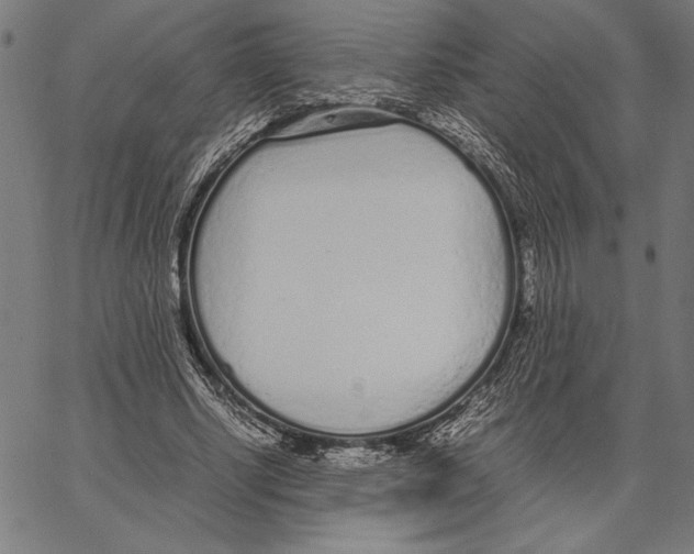 X0000066940634200604211751