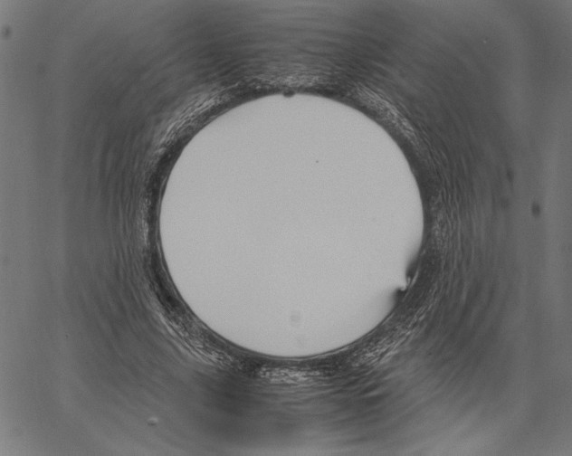 X0000066940635200604211751