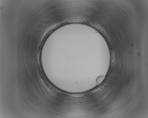 X0000066940636200604211751