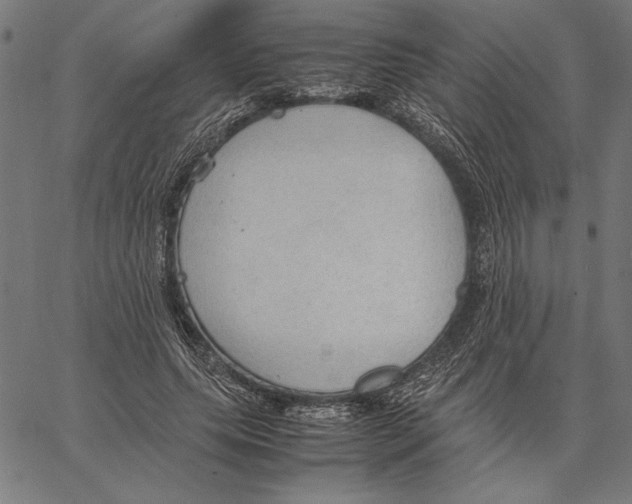 X0000066940639200604211751