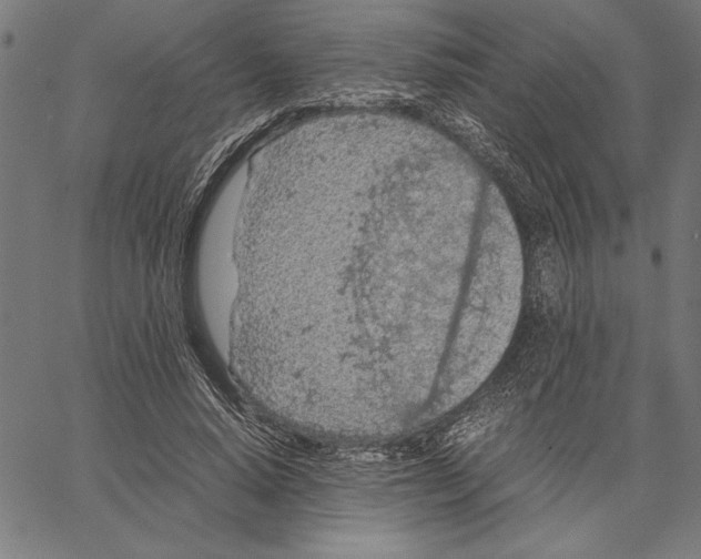 X0000066940640200604211751