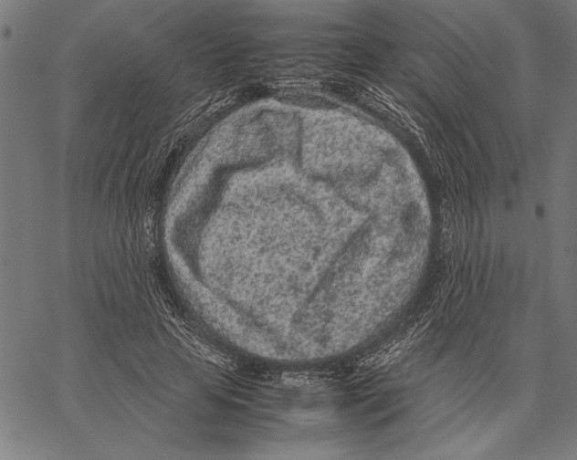 X0000066940641200604211751