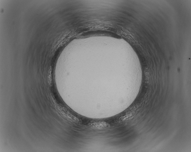 X0000066940642200604211751