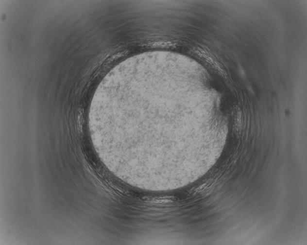 X0000066940643200604211751