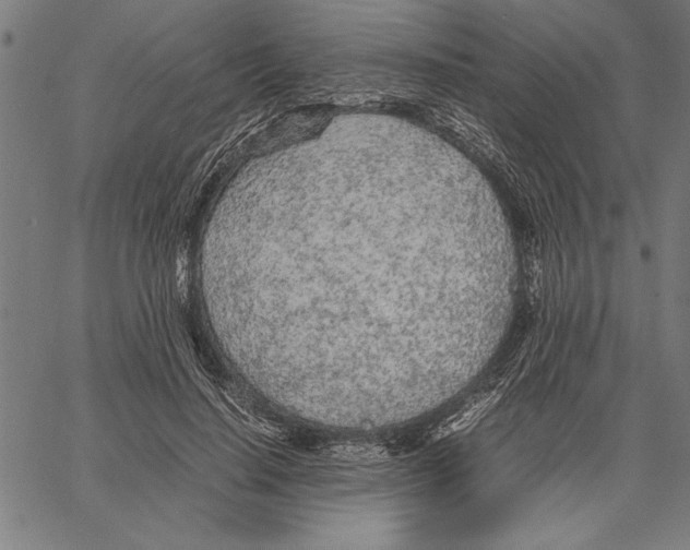 X0000066940644200604211751