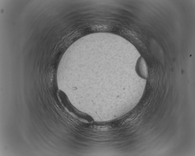 X0000066940645200604211751