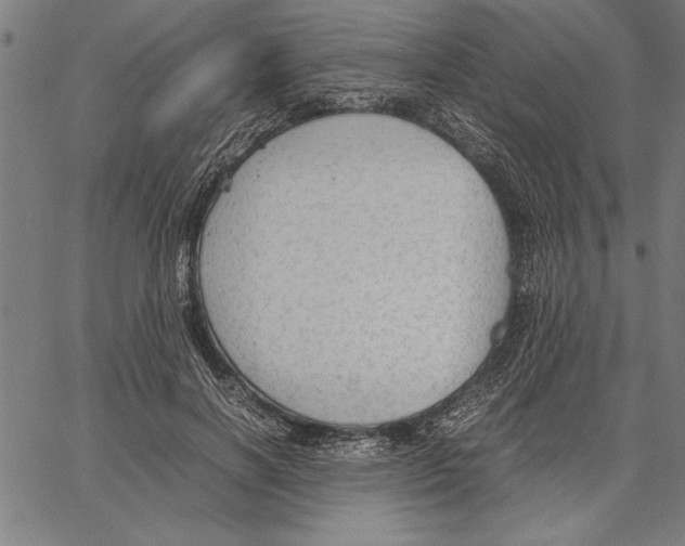 X0000066940646200604211751