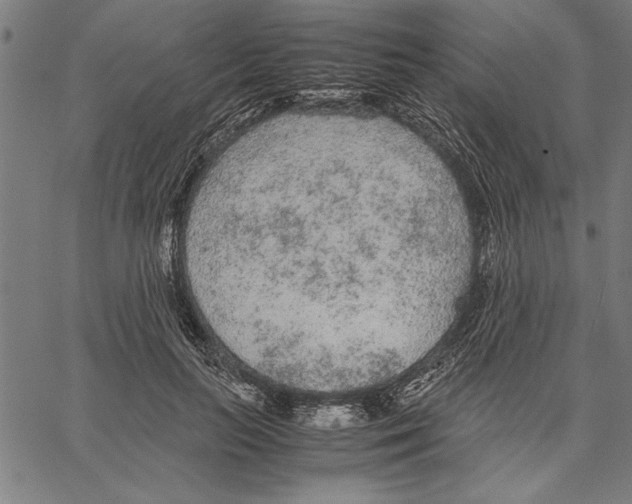 X0000066940647200604211751