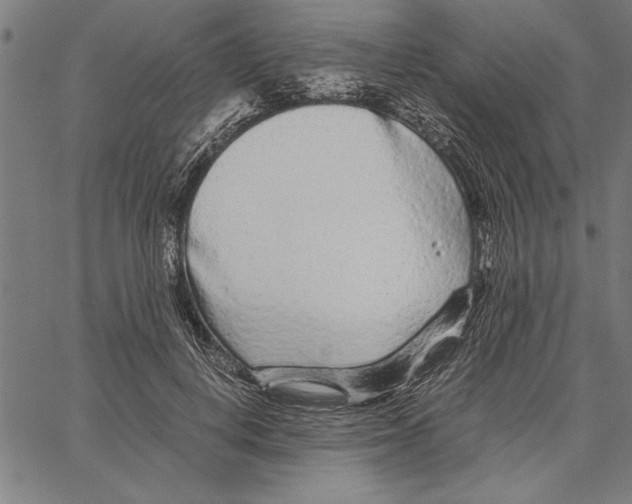 X0000066940648200604211751