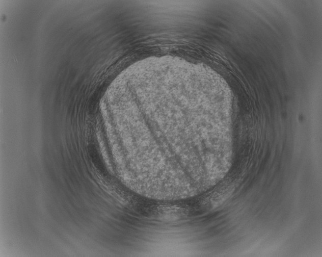 X0000066940650200604211751