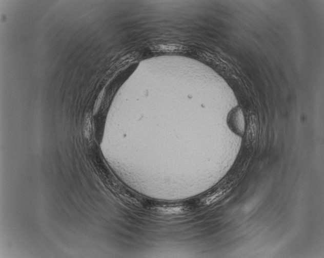 X0000066940651200604211751