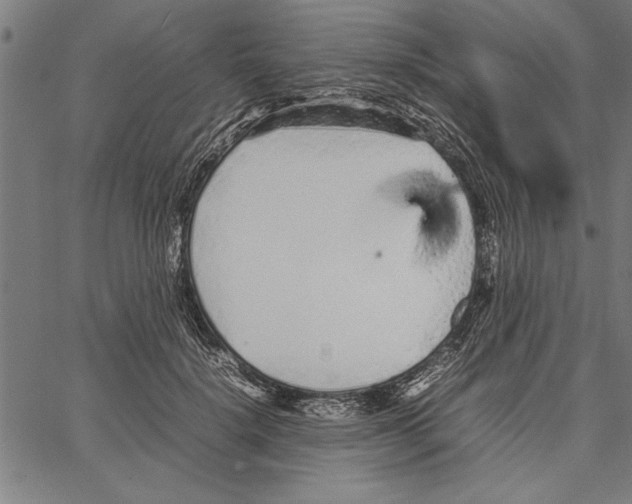 X0000066940652200604211751