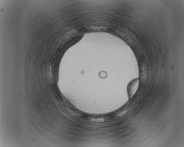 X0000066940653200604211751