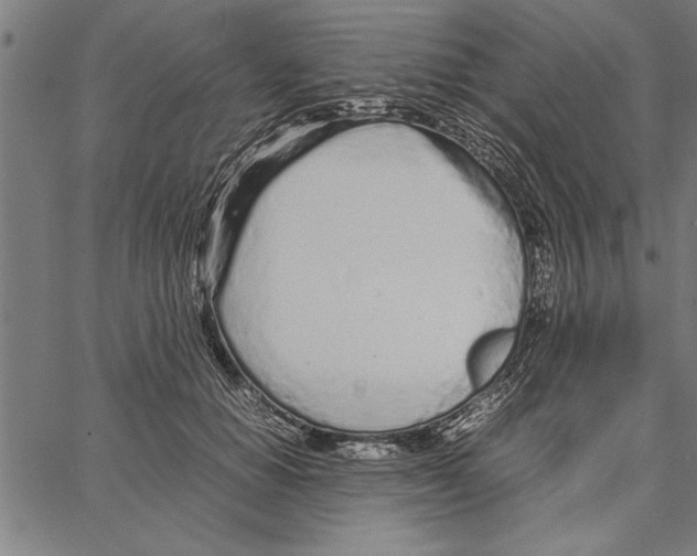 X0000066940654200604211751