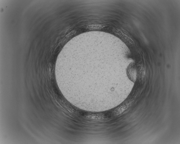 X0000066940655200604211751