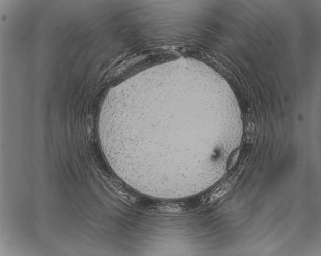 X0000066940656200604211751