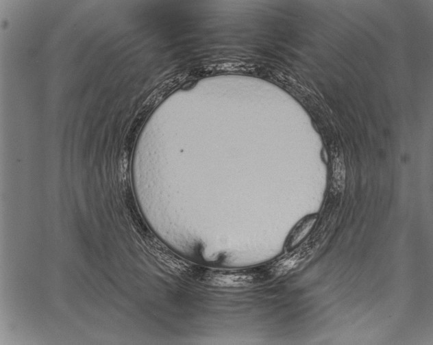 X0000066940657200604211751