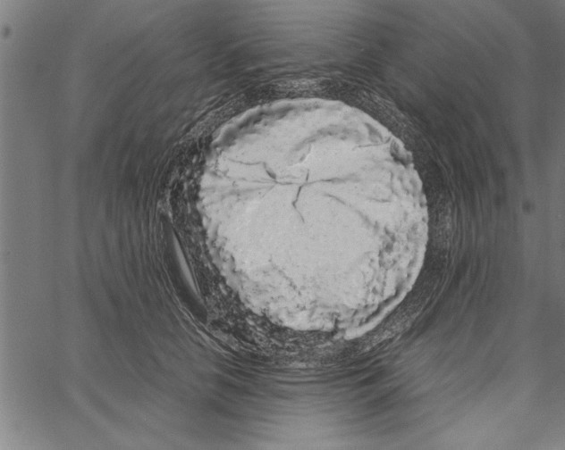 X0000066940658200604211751