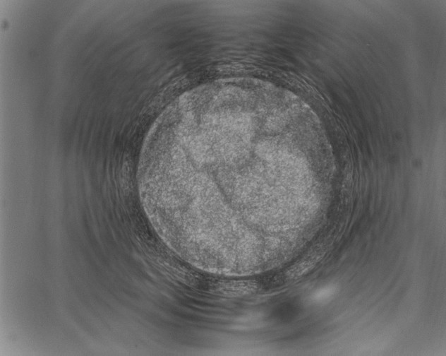 X0000066940659200604211751