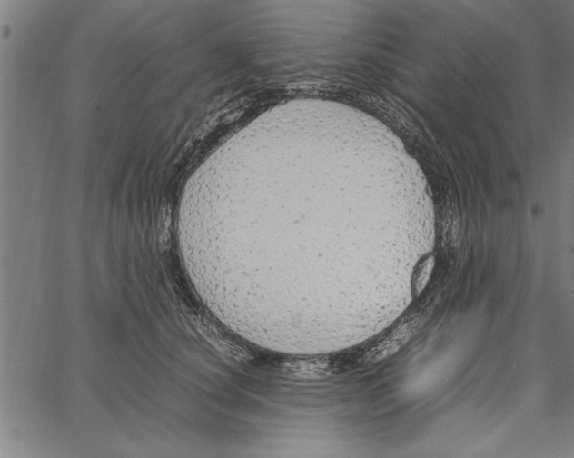 X0000066940660200604211751