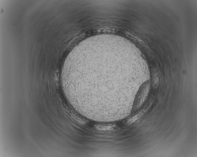 X0000066940661200604211751