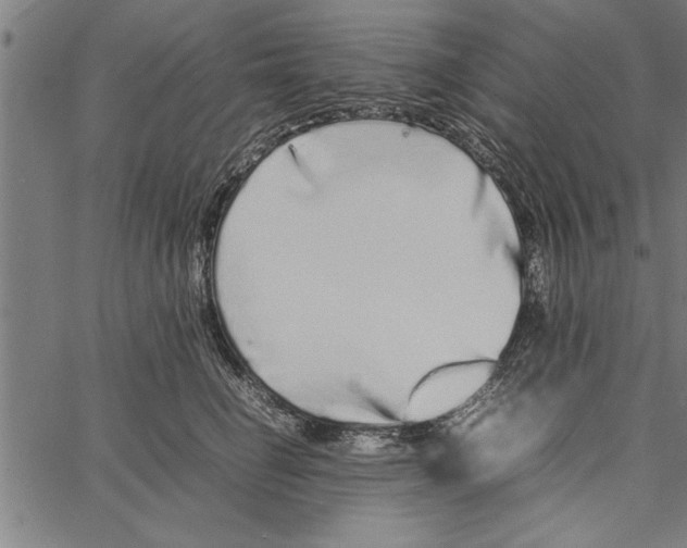 X0000066940662200604211751