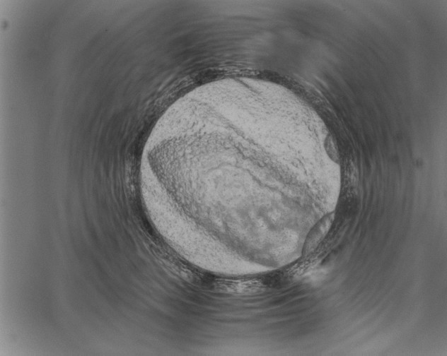 X0000066940663200604211751