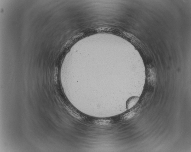 X0000066940664200604211751