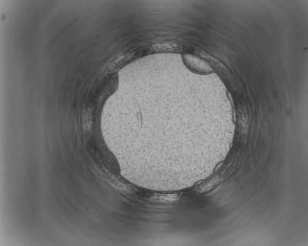 X0000066940665200604211751