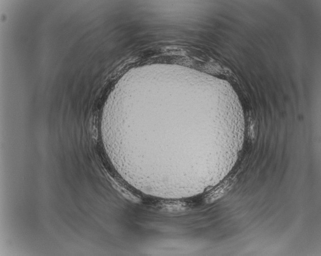 X0000066940666200604211751