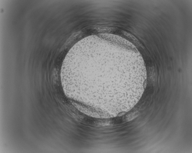 X0000066940667200604211751