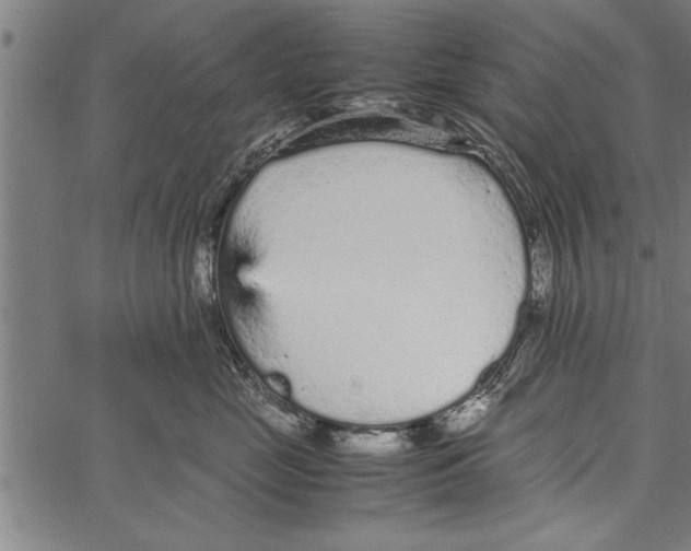 X0000066940669200604211751