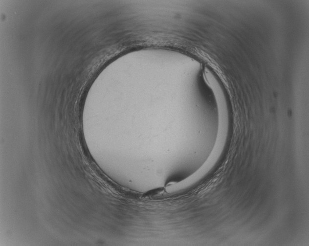 X0000066940673200604211750