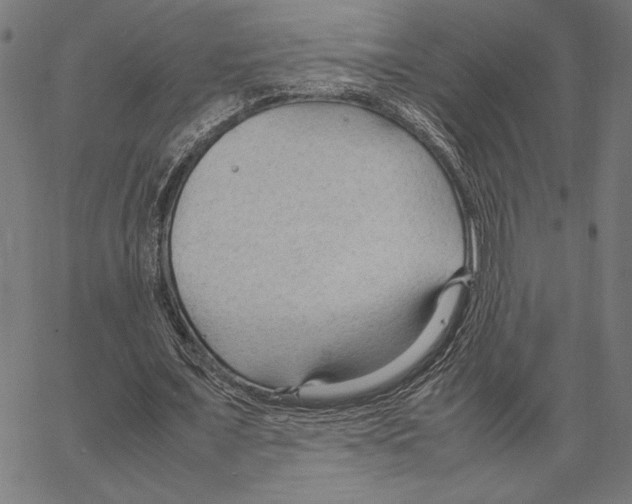 X0000066940675200604211750