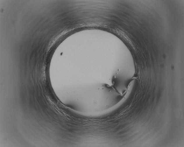 X0000066940676200604211750