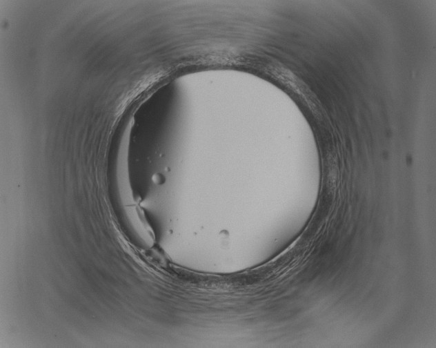 X0000066940677200604211750