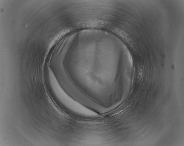 X0000066940678200604211750