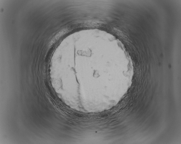 X0000066940679200604211750